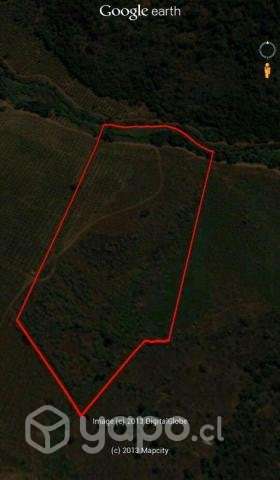 Venta terreno 4 ha Codegua - Imagen 2