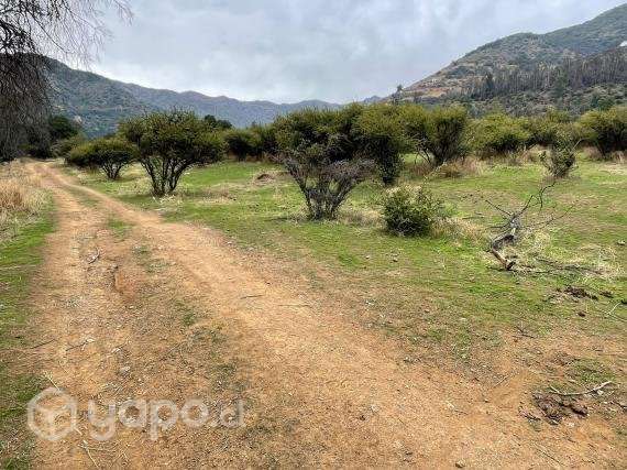 Venta terreno 4 ha Codegua - Imagen 15
