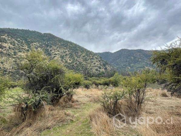 Venta terreno 4 ha Codegua - Imagen 3