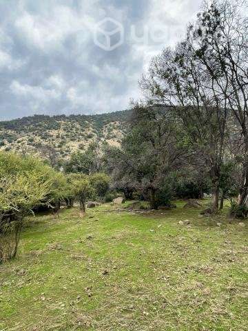 Venta terreno 4 ha Codegua - Imagen 7
