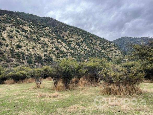 Venta terreno 4 ha Codegua - Imagen 6