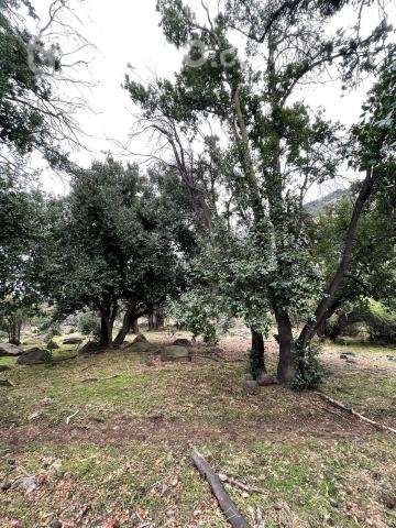 Venta terreno 4 ha Codegua - Imagen 9