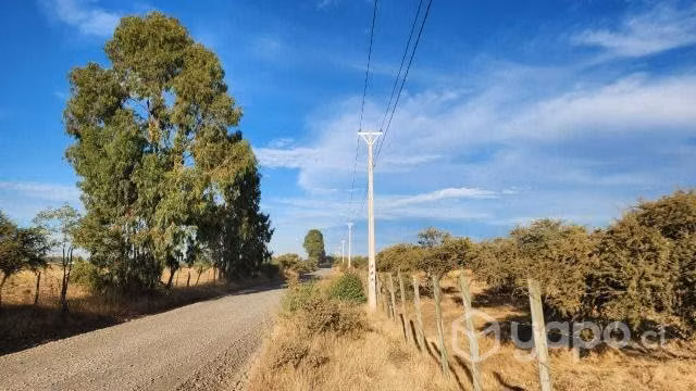 Se Vende Parcela cerca de Chillán 5000 m2 - Imagen 8
