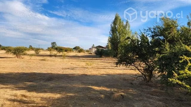 Se Vende Parcela cerca de Chillán 5000 m2 - Imagen 5