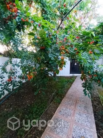Casa Antilhue