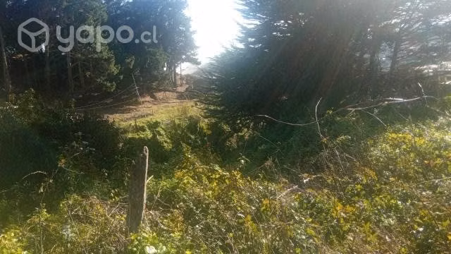 Vendo sitio en altura en Pto. Saavedera, IX Región