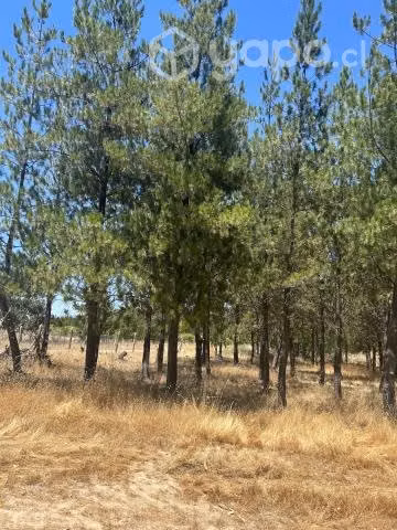 Se vende parcela