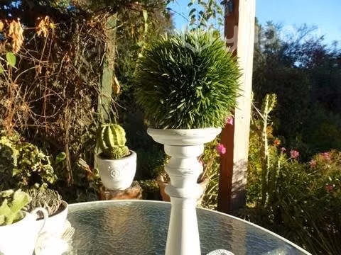 Candelabro Unico 39 con Deco