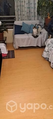 Sofa L nuevo