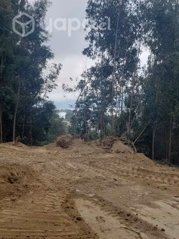 Terreno en Lonco Parque para construcción de casas - Imagen 2