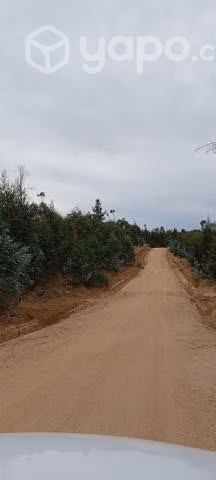 Parcela 5000m2 cauquenes - Imagen 3