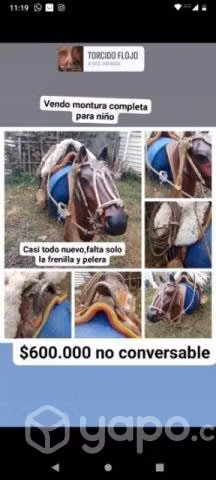 montura