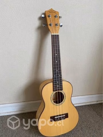 Ukelele - Imagen 3
