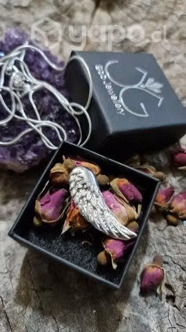 Colgante pluma, incluye cadena de regalo