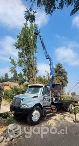 Arriendo camion pluma
