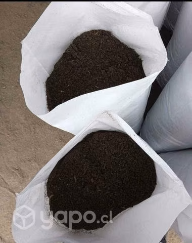 Tierra de hoja