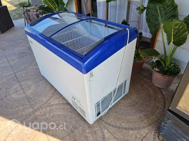 Maquina congelados