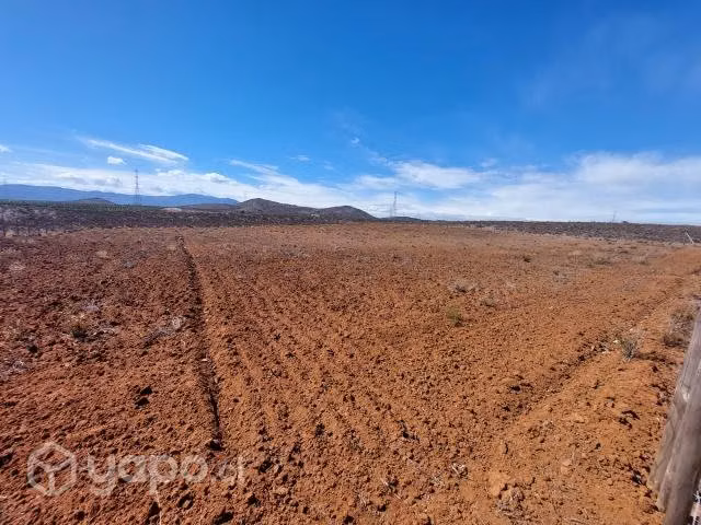 Vendo terreno 5000 m2 - Imagen 2