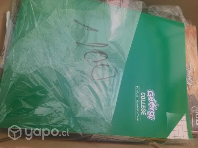 Variedad de articulos escolares muñecas