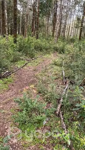 Terreno en Panguipulli de 5.200 mt2