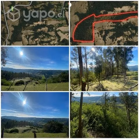 Terreno en Navidad, pupuya 3.25hectareas