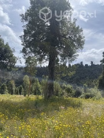 Parcela Comercial, Bordecarretera, Camino A Ralún