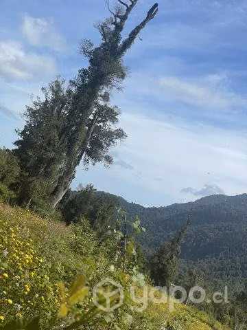 Parcela Comercial, Bordecarretera, Camino A Ralún