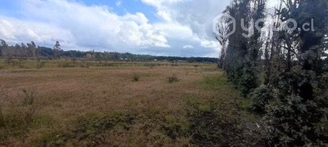 Se vende Parcela Sector Balsa Coipue - Imagen 6