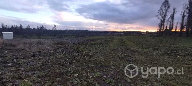 Se vende Parcela Sector Balsa Coipue