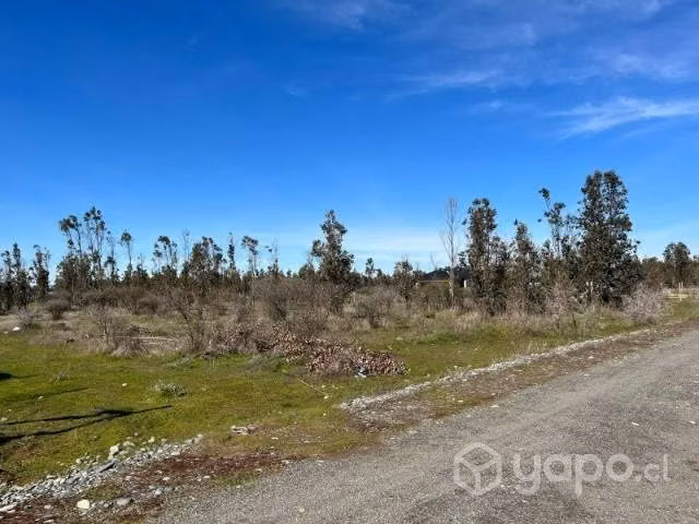 parcela de 5 mil m2 - Imagen 2