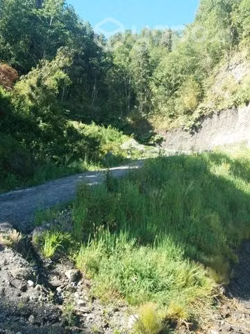 Se vende parcela frente al lago Puyehue