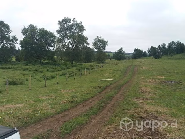 Se vende parcela frente al lago Puyehue