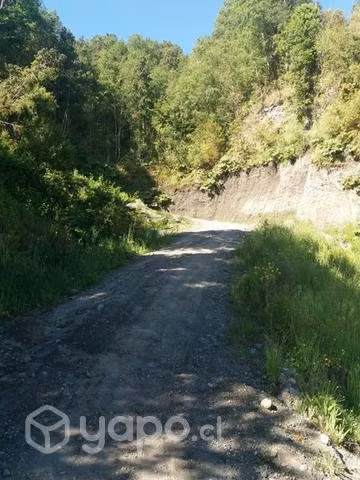Se vende parcela frente al lago Puyehue