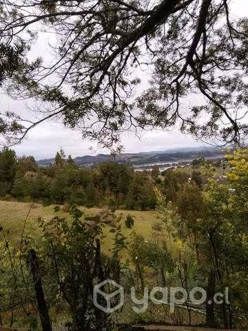 Campo - Imagen 3