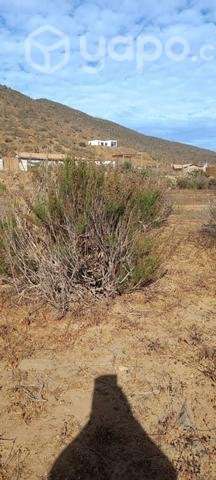 Terreno en pan de azúcar - Imagen 9