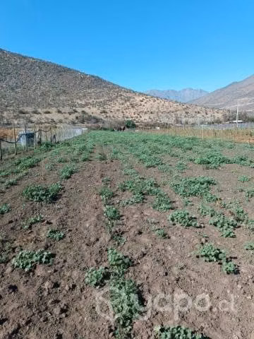 Terreno con casa