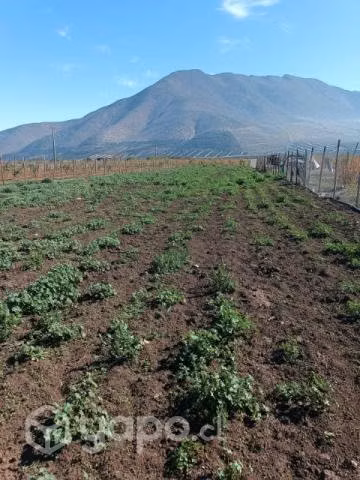 Terreno con casa