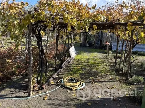 Vendo casa con terreno - Imagen 6