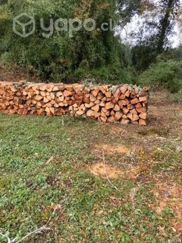 Leña nativa
