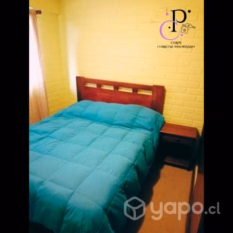 Departamento pucon año corrido