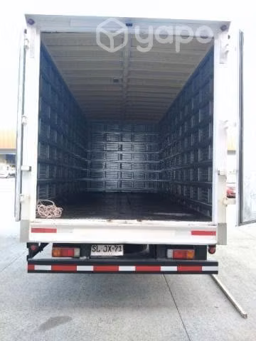 Camión Hino 300