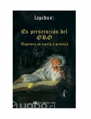 En persecución del oro - Lapidus (NUEVO)