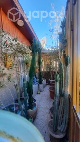 Se vende casa en el Pueblo de La Tirana