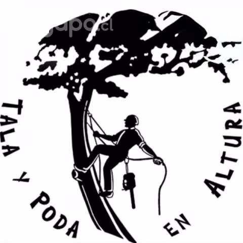 Poda y tala de arboles.
