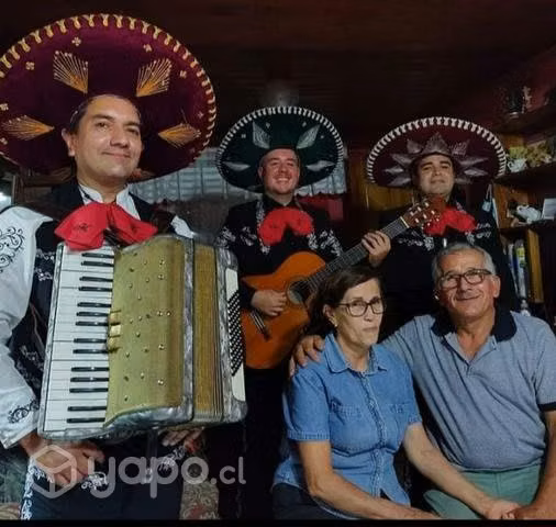 Serenatas a domicilio