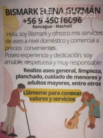 Aseo limpieza general planchado cuidado adultos