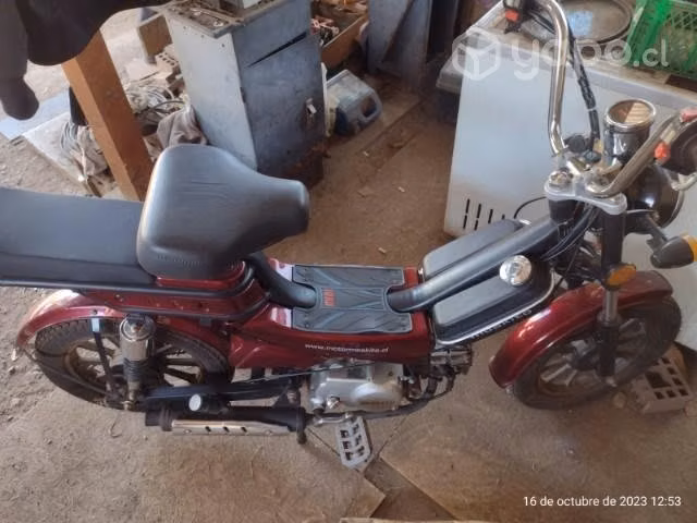 Moto mosquito