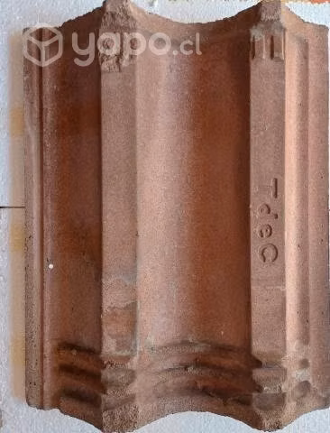 Teja chena usada