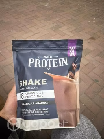 Proteína en polvo