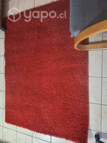 Alfombra roja
